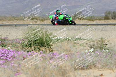 media/Feb-04-2023-SoCal Trackdays (Sat) [[8a776bf2c3]]/Turn 15 Inside Blooming (1050am)/